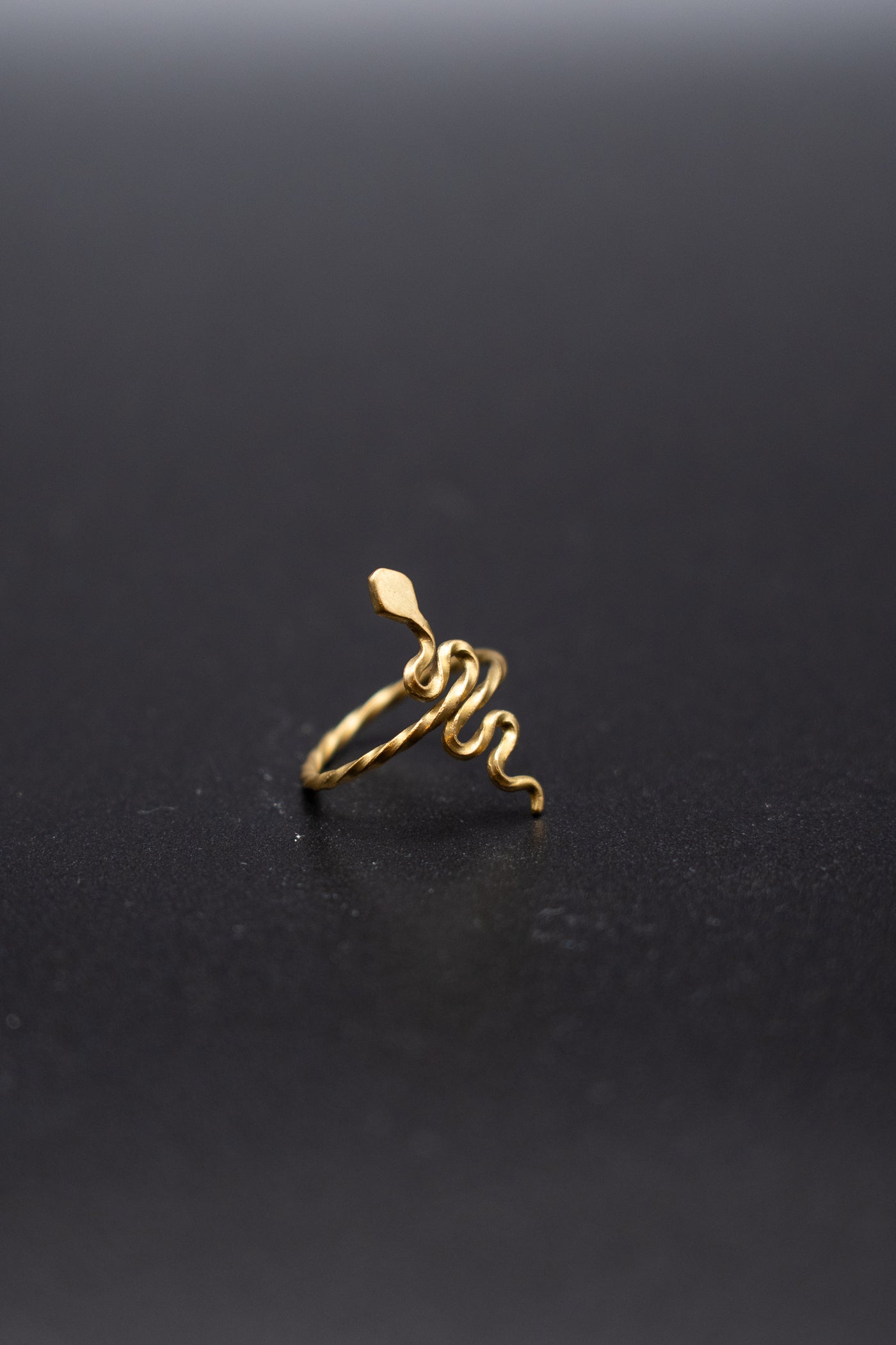 Minimalistic snake ring