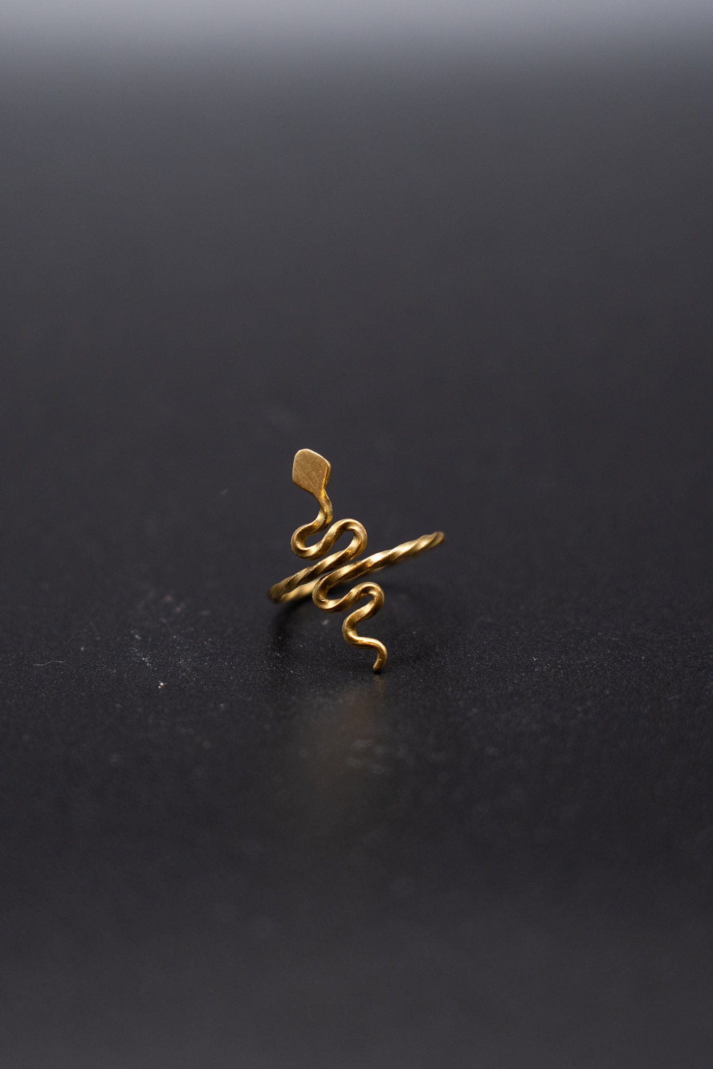 Minimalistic snake ring