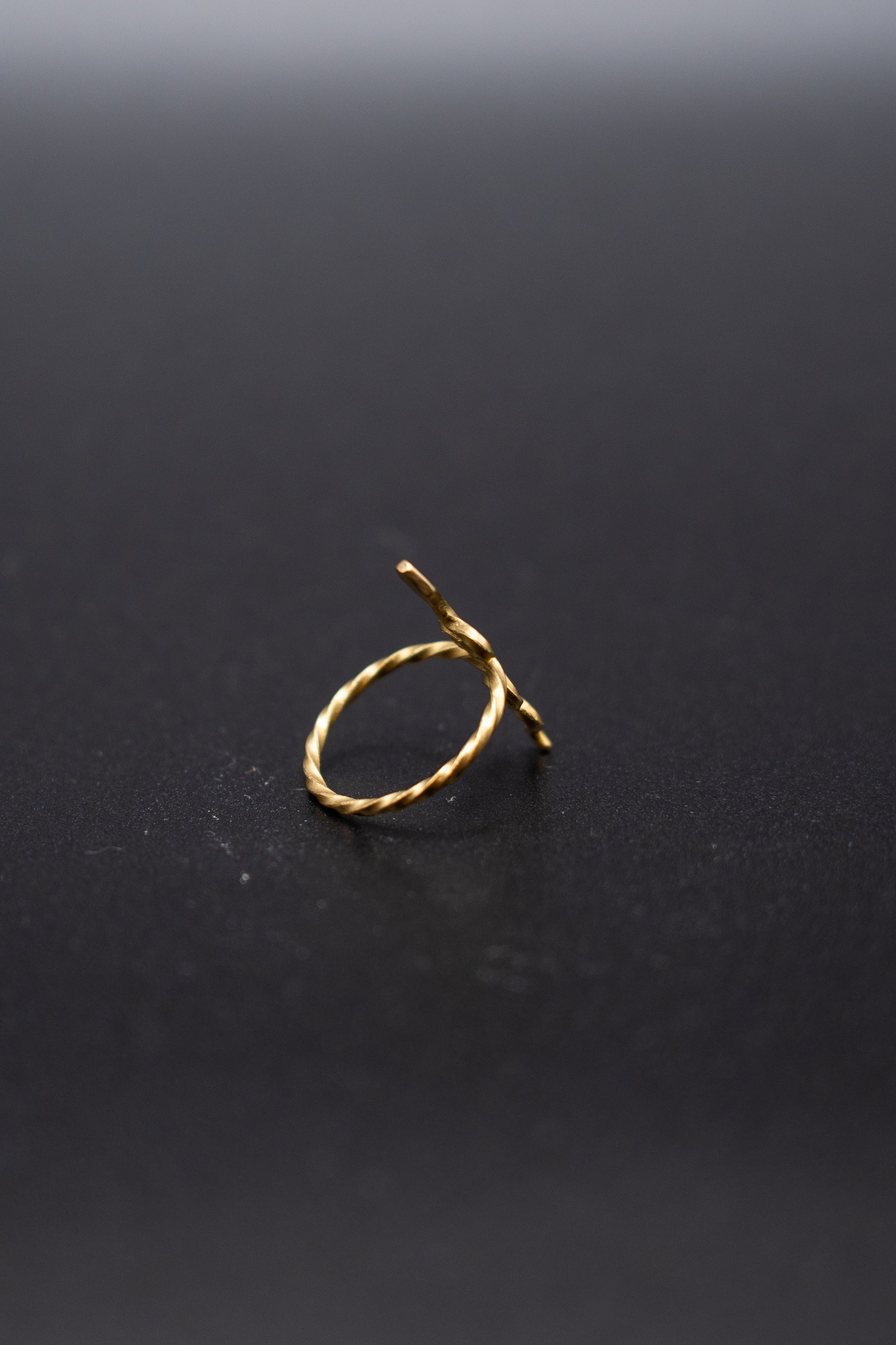 Minimalistic snake ring