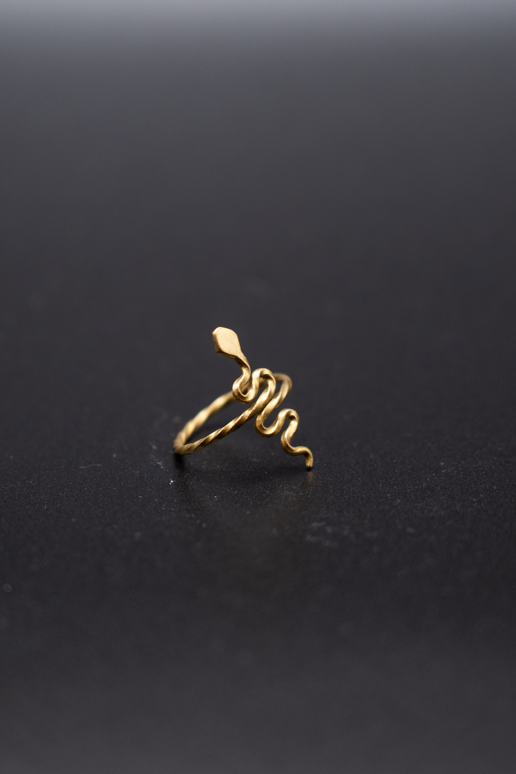 Minimalistic snake ring