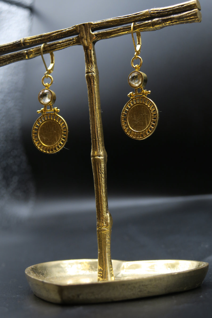 Coin earrings