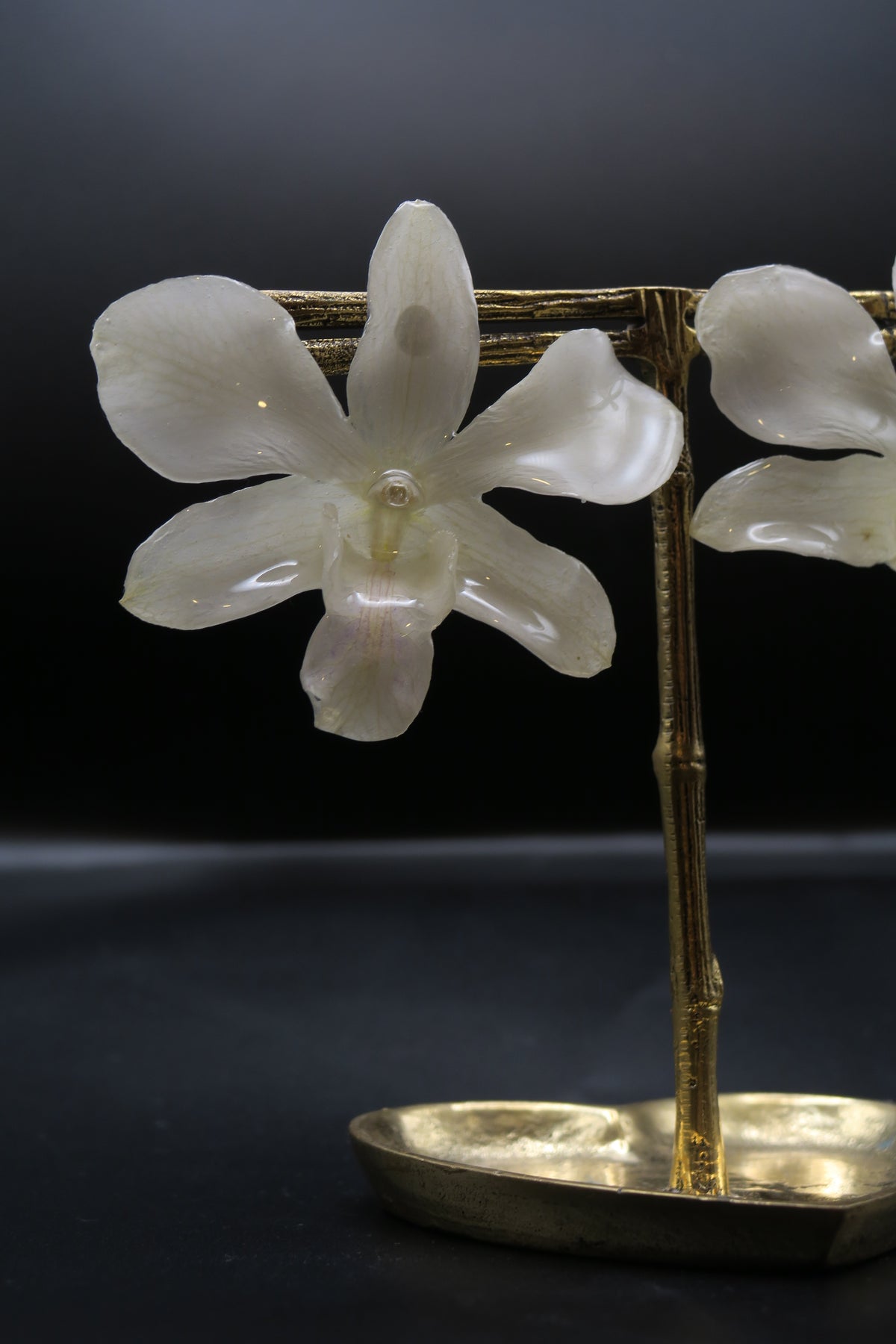 Bianca real orchid earrings