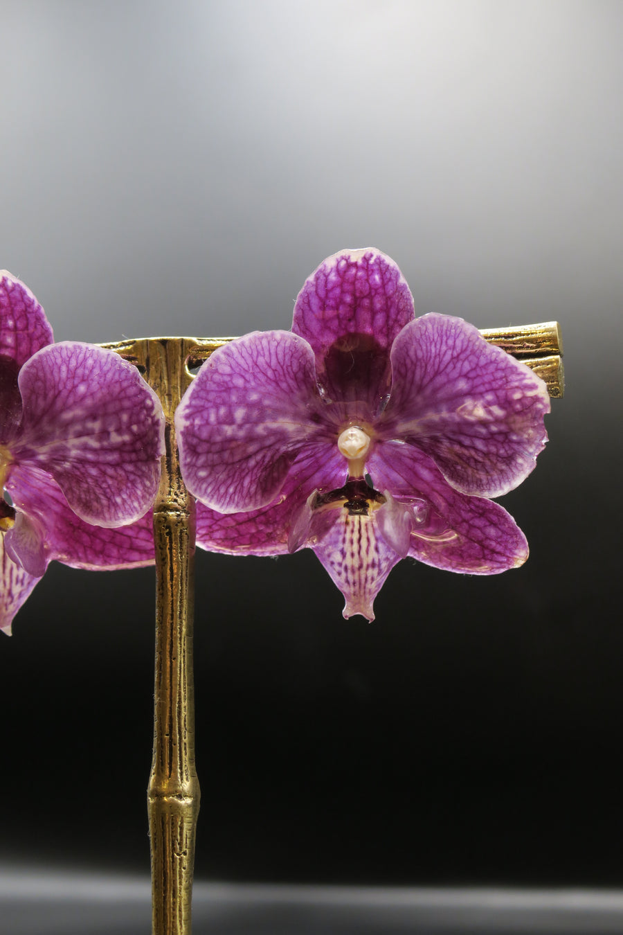 Viviana real orchid earrings