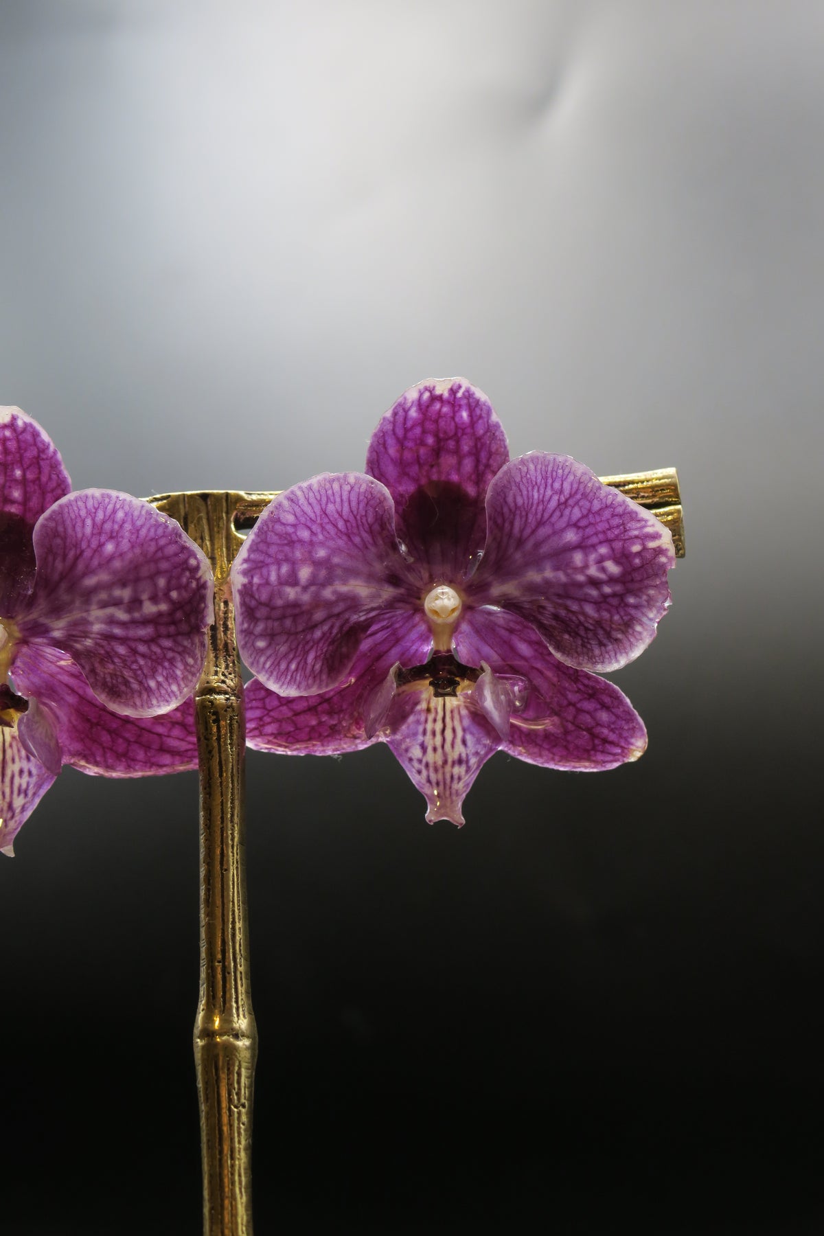 Viviana real orchid earrings