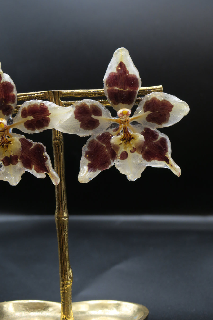 Ria real orchid earrings
